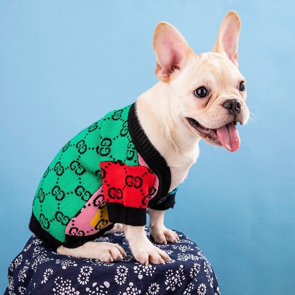 Poochie Colorblock Pet Cardigan Sweater for Dog or Cat Multicolor